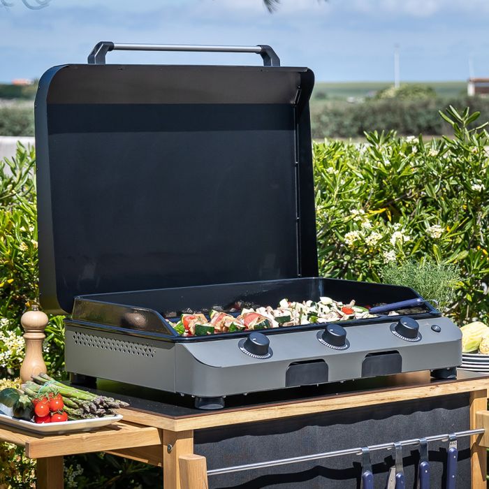 Fusion X Plancha Gassgrill