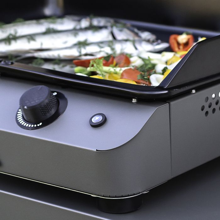 Fusion X Plancha Gassgrill