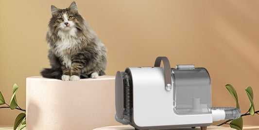 Animal Groomy 6 Stellestasjon Kjæledyr