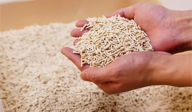 Premium Plantebasert Kattesand 4 pakker