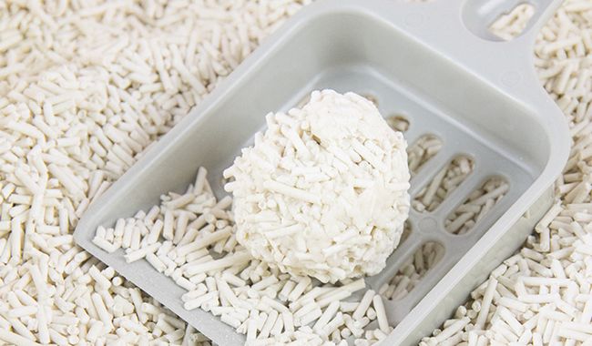Premium Plantebasert Kattesand 4 pakker