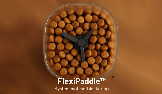 Automatisk Fôr Dispenser & Drikkefontene for Katt & Små Hund, Nutribot Connect C4