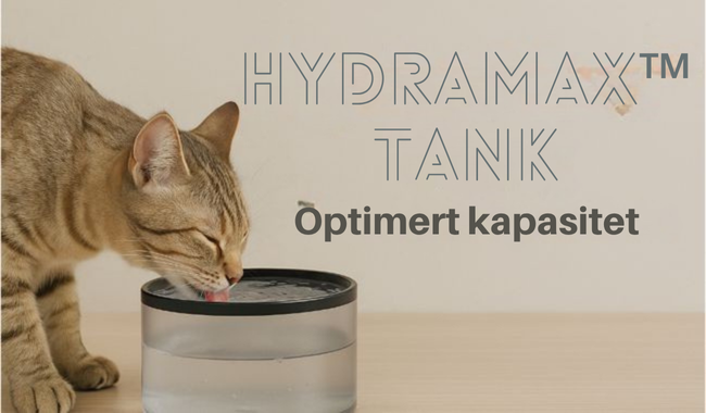 Automatisk Fôr Dispenser & Drikkefontene for Katt & Små Hund, Nutribot Connect C4
