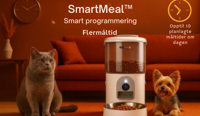 Automatisk Fôr Dispenser & Drikkefontene med kamera for Katt & Små Hund, Nutribot Cam+ C8